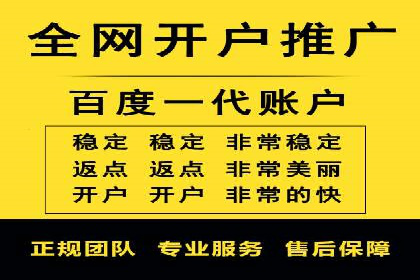 SEM运营公司案例解析：精准广告投放技巧